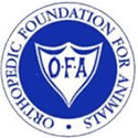OFA: Orthopedic Foundation for Animals